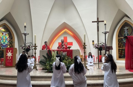 Domingo ramos